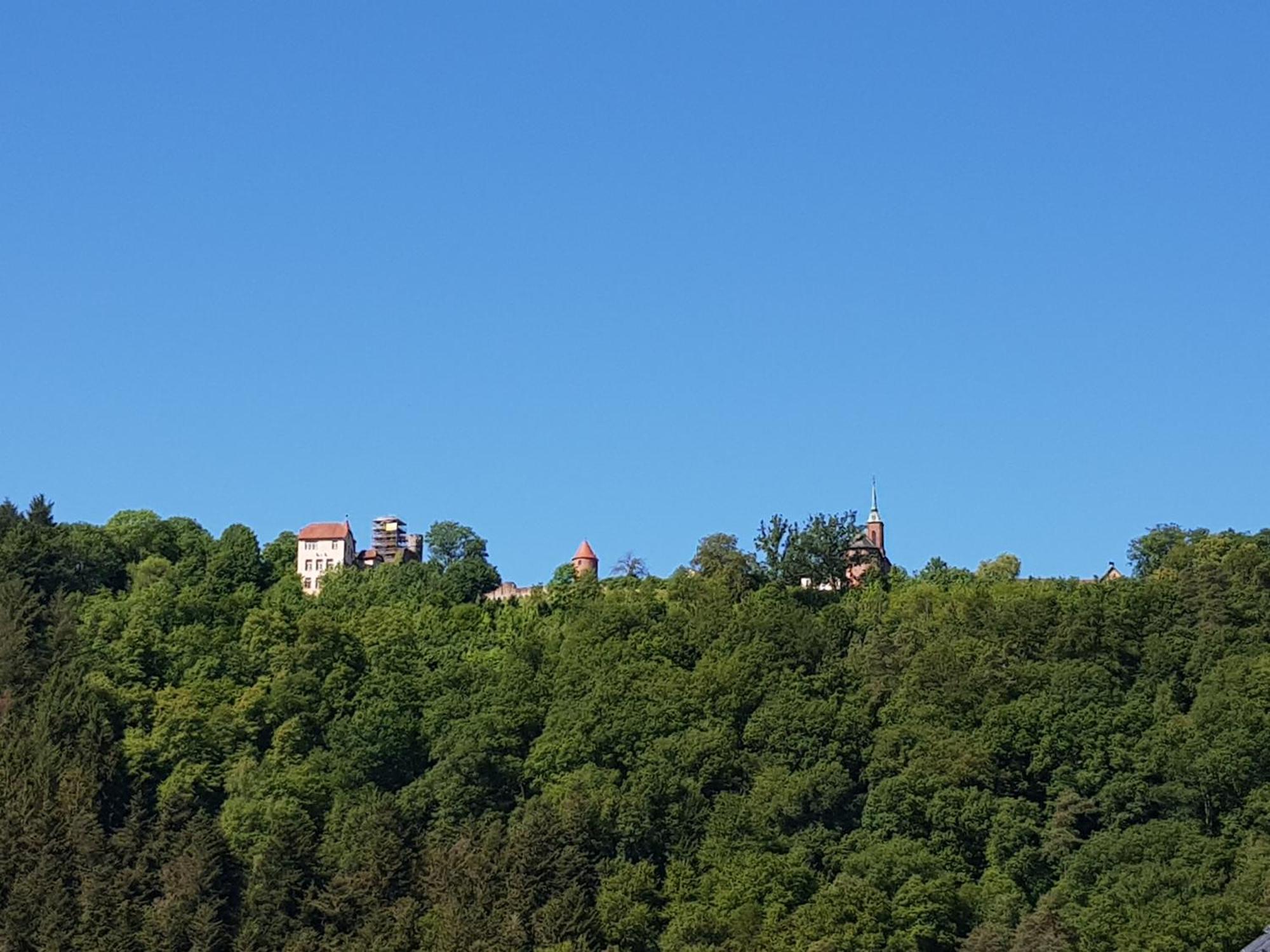 Ferienwohnung Tinas Beauty Neckarsteinach Exterior foto
